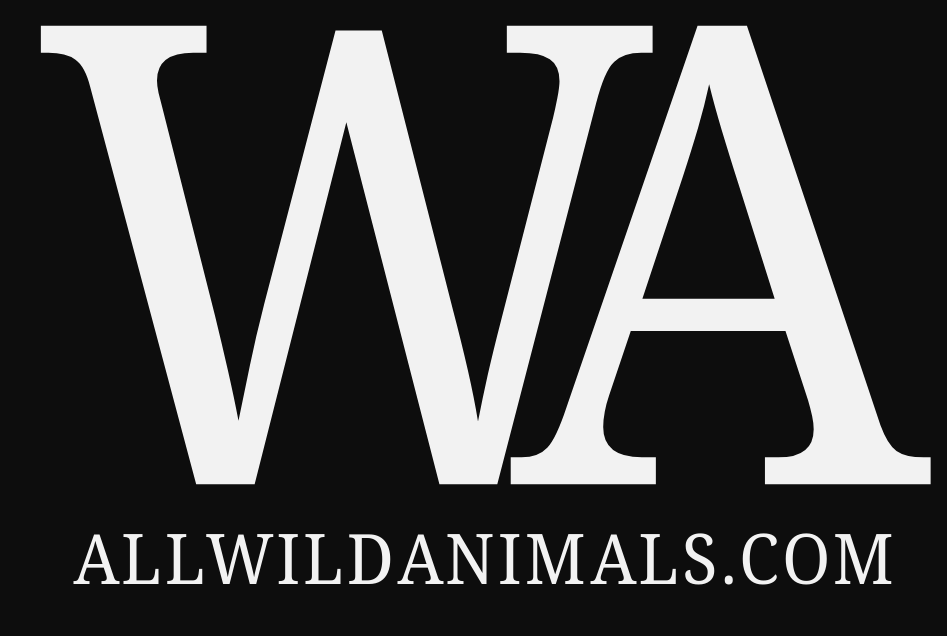 Allwildanimal